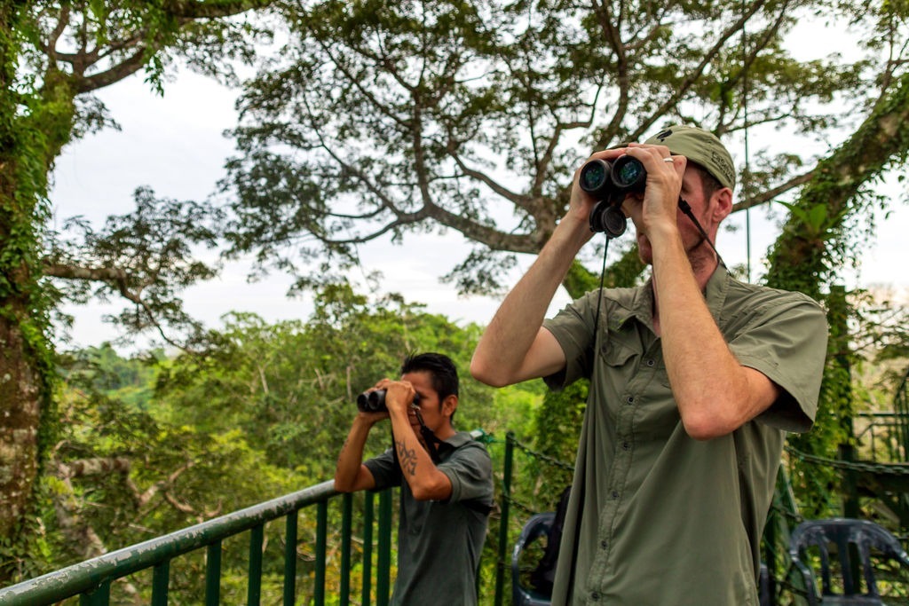 observation-tower-la-selva-eco-lodge-and-retreat