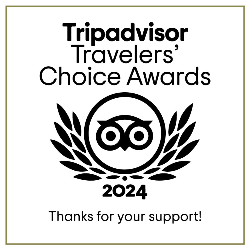 Trip Advisor 2024