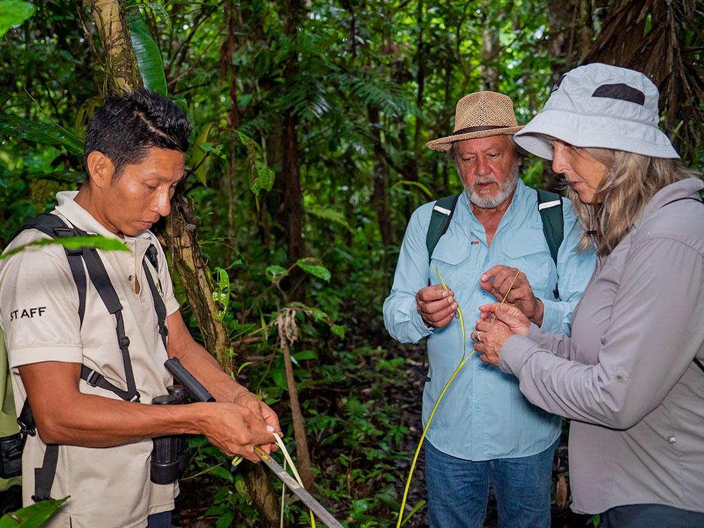 Guided explorations with experts<